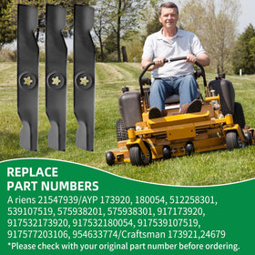 Wyevee 173920 3-pack ready for season-long mowing tasks.