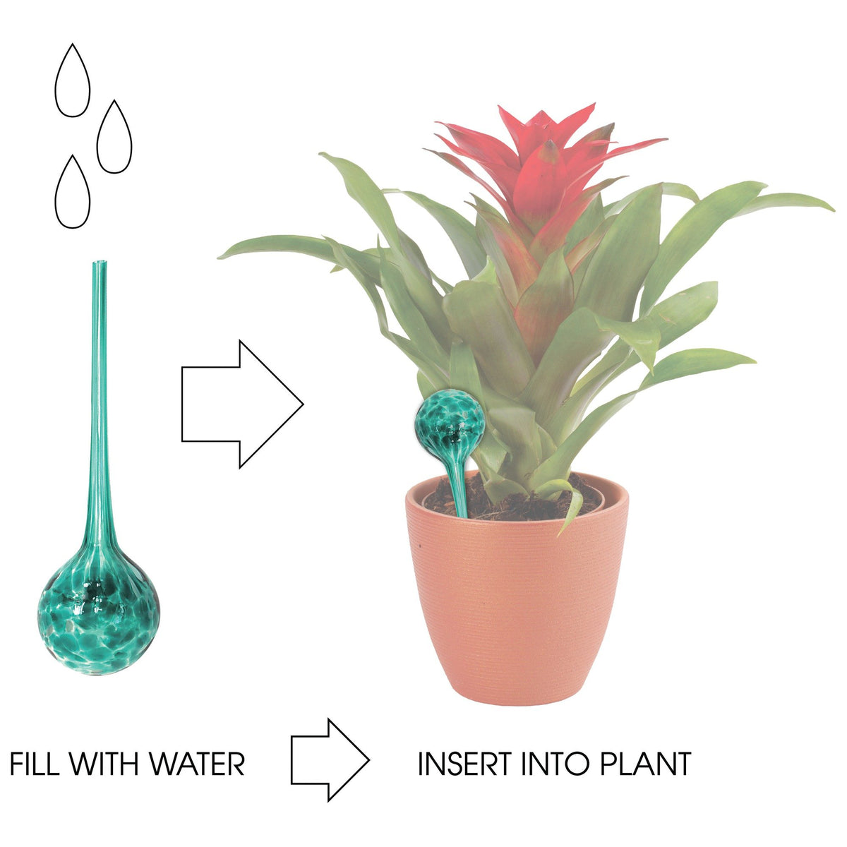 Wyndham House 3-piece globe set adds color while keeping plants hydrated.