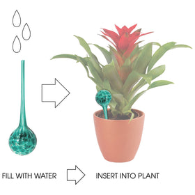 Wyndham House 3-piece globe set adds color while keeping plants hydrated.