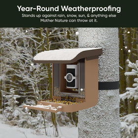 Wyze Lifestyle Bird Feeder Case pole mount provides stable viewing