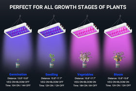 WZDRAGON BW1000 covers a 23.6 by 23.6-inch grow area at 25 inches.