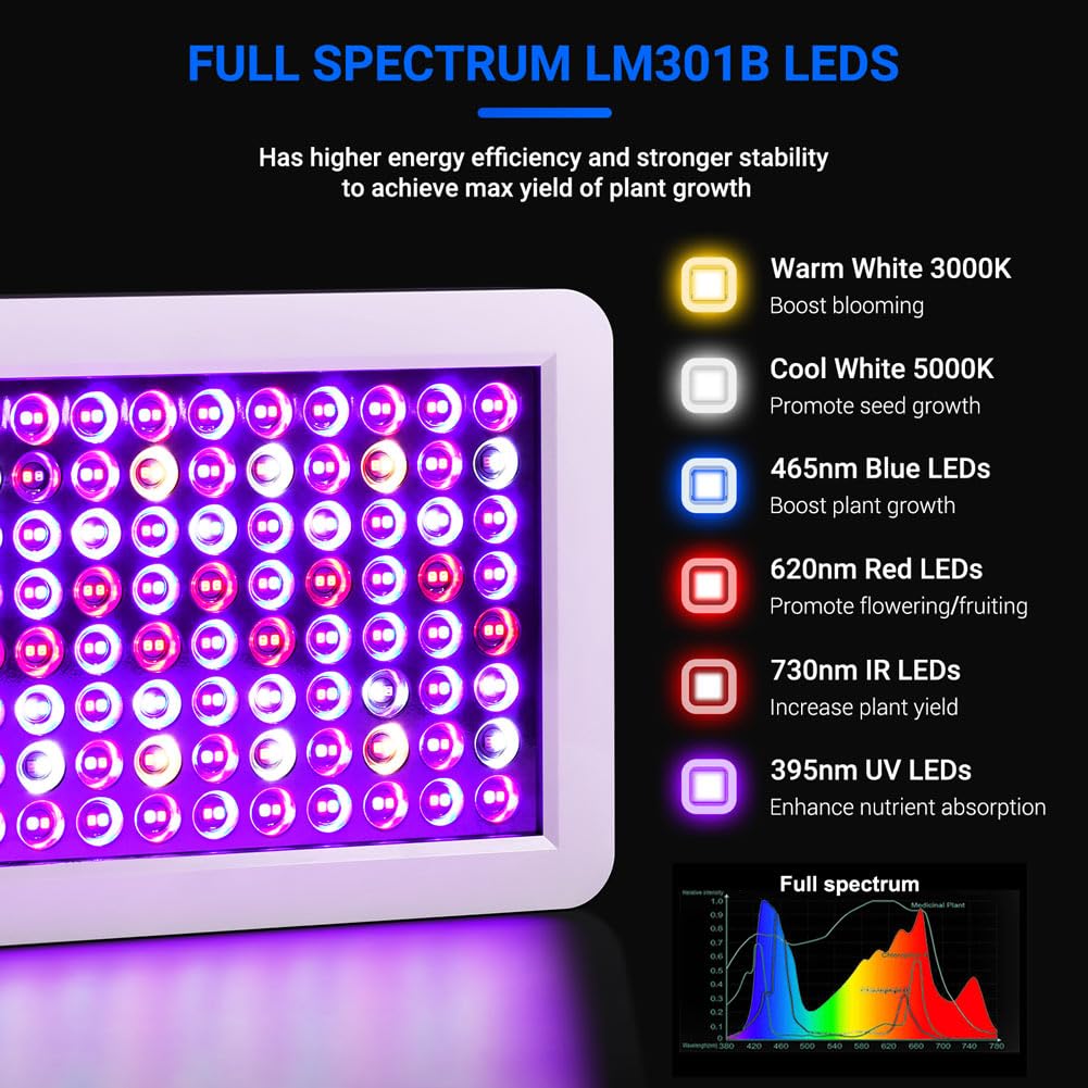 WZDRAGON BW1000 energy-saving LED replaces traditional HPS lighting.