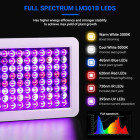 WZDRAGON BW1000 energy-saving LED replaces traditional HPS lighting.
