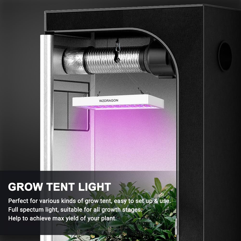WZDRAGON BW1000 low-heat design reduces heat buildup during use.
