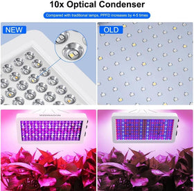 WZDRAGON BW1000 includes UV and IR range for more natural lighting cues.