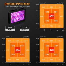WZDRAGON BW1000 veg bloom-switch close-up demonstrates stage control