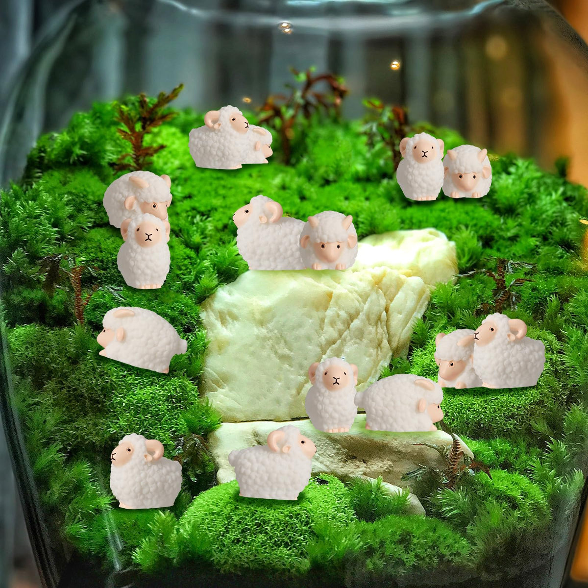 X Hot Popcorn miniature sheep for planters and moss landscapes.