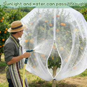 X-Kingsun frost damage reduction when used in winter garden protection