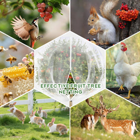 X-Kingsun protect fruits and vegetables with durable garden netting