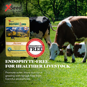 X-Seed endophyte-free pasture seed blend for safe grazing.