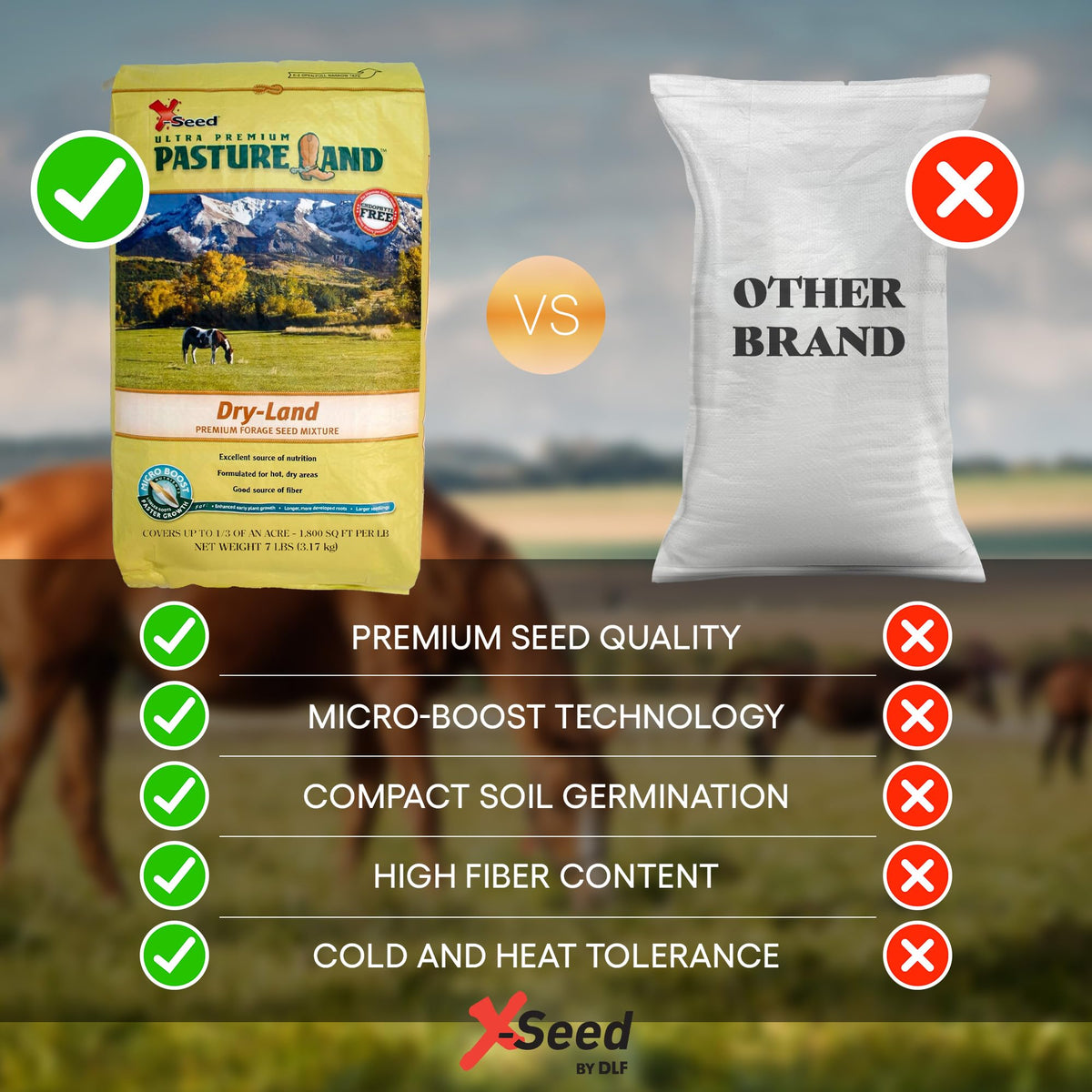 X-Seed pasture seed aiding livestock nutrition in dry areas.