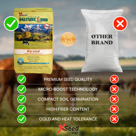 X-Seed pasture seed aiding livestock nutrition in dry areas.