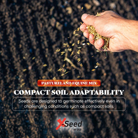 X-Seed tall fescue, orchard grass, and ryegrass blend.