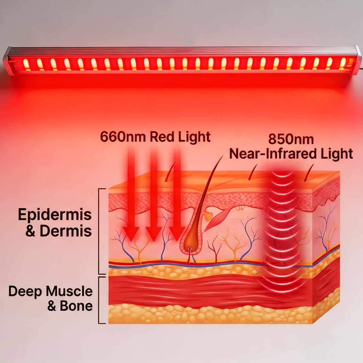 X-Vitalis red light panel anti-slip base keeps sauna setup secure.
