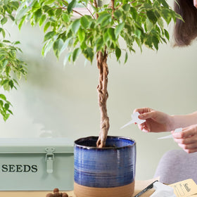 Xbopetda seed storage organizer includes two pens for labeling.