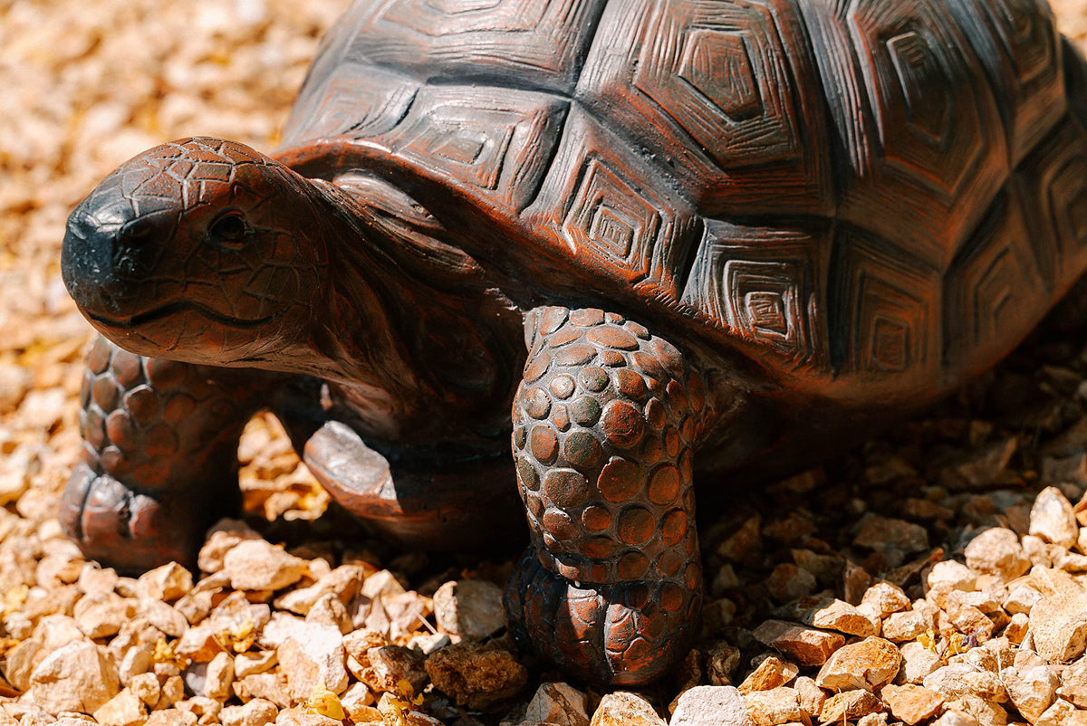 XBrand garden turtle statue placed near a pond creates a serene focal point