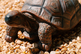 XBrand garden turtle statue placed near a pond creates a serene focal point