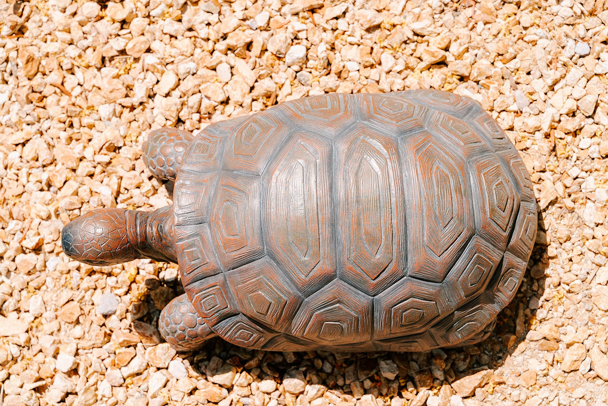 XBrand turtle statue indoors on a table or shelf adds charm
