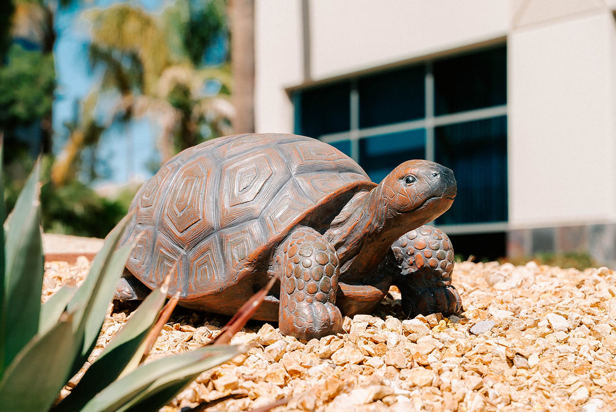 XBrand walking turtle statue back view reveals a compact garden ornament