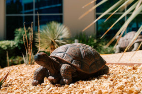 XBrand walking turtle statue size 21.3 inches tall for garden presence