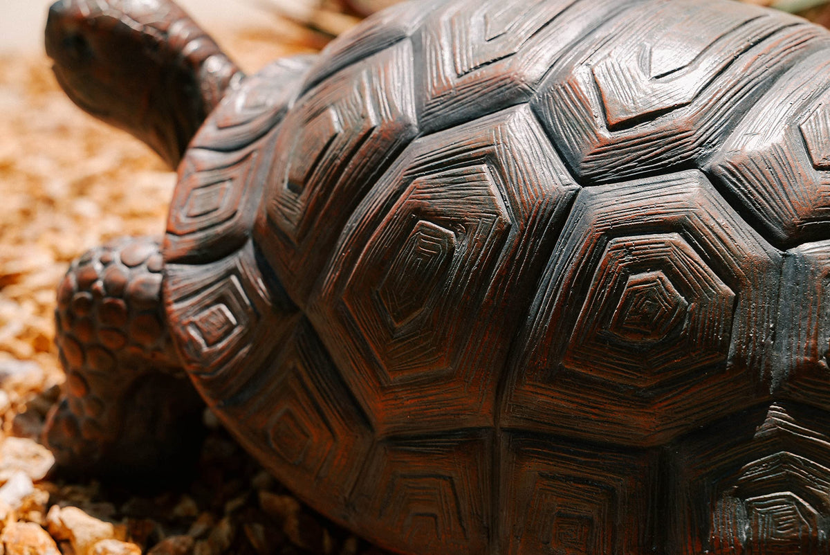 XBrand walking turtle statue weather-resistant build for year-round display