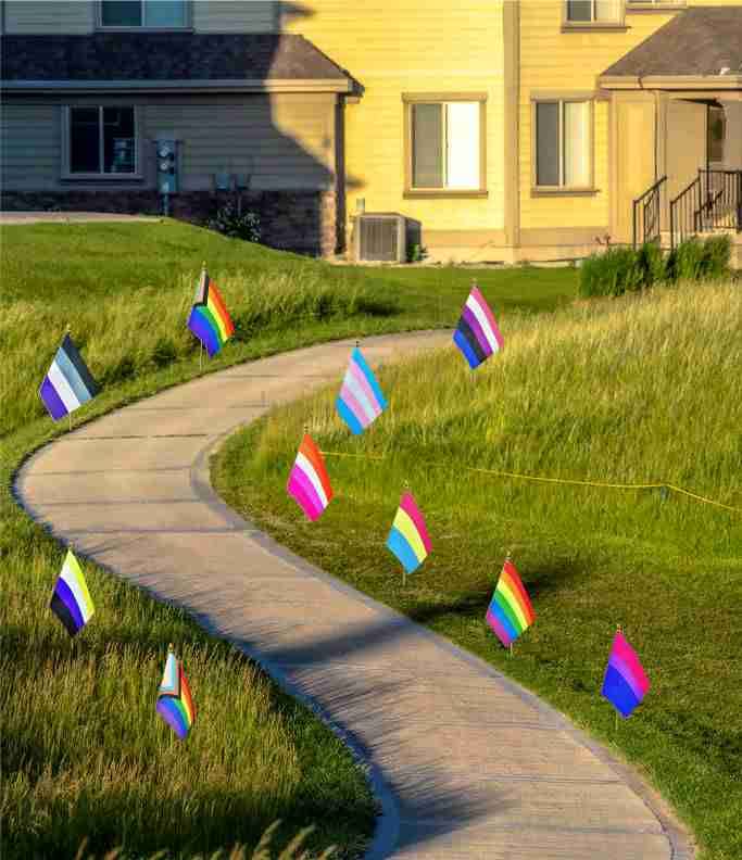 XCFH Pride Rainbow flags pack includes 20 pieces for versatile events.