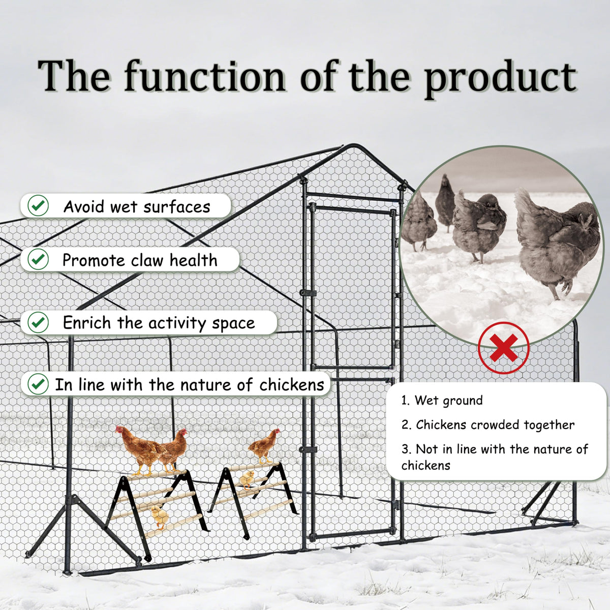 XCL Chicken Perch assembly easy, quick setup in coop.