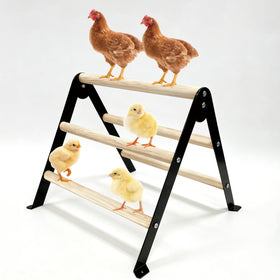 XCL Chicken Perch for baby chicks A-frame, stable roost for growing flocks.