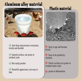 XCL Chicken Waterer Cups compatible with 5-gallon buckets for flexible setups.