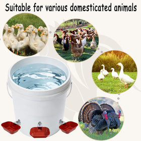 XCL Chicken Waterer Cups durable outdoor use for weather-resistant hydration.