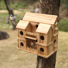 XDYGHH backyard habitat for multiple families in a nesting box