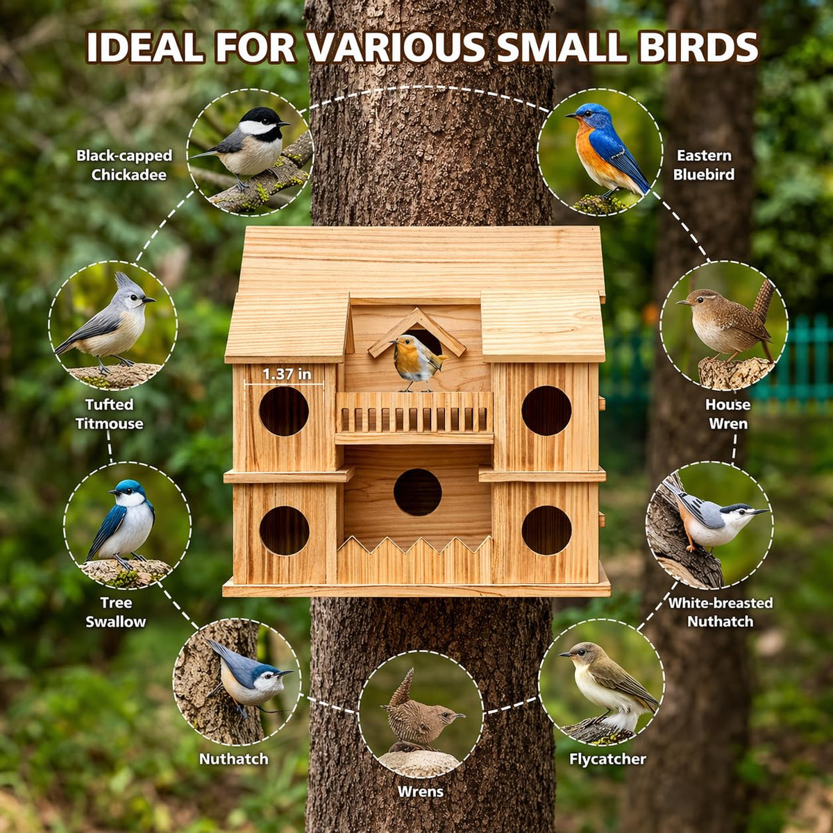 XDYGHH bird house with sturdy hanging hook installed on a tree branch