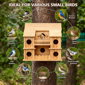 XDYGHH bird house with sturdy hanging hook installed on a tree branch