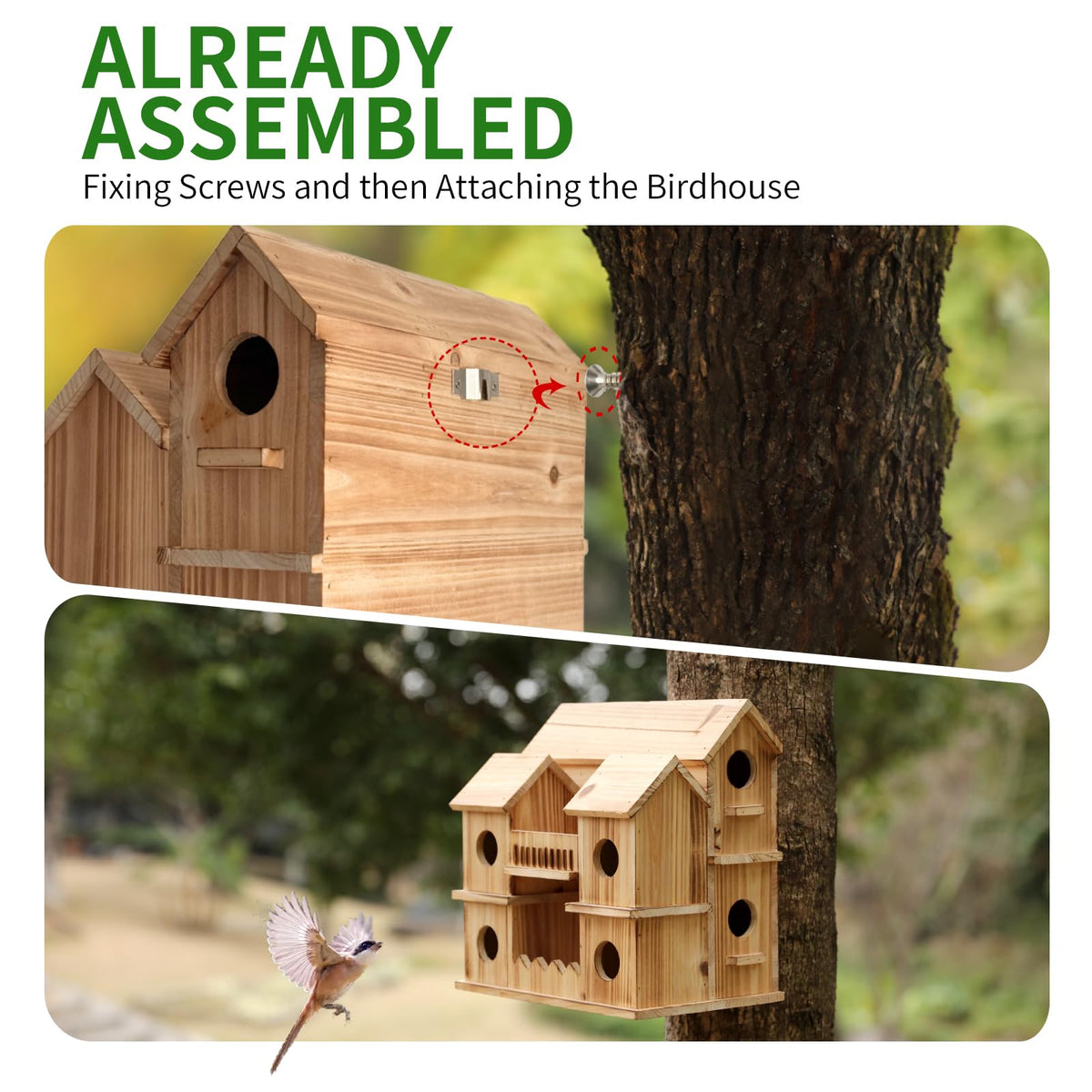 XDYGHH 1.37 inch entrances for wrens and finches