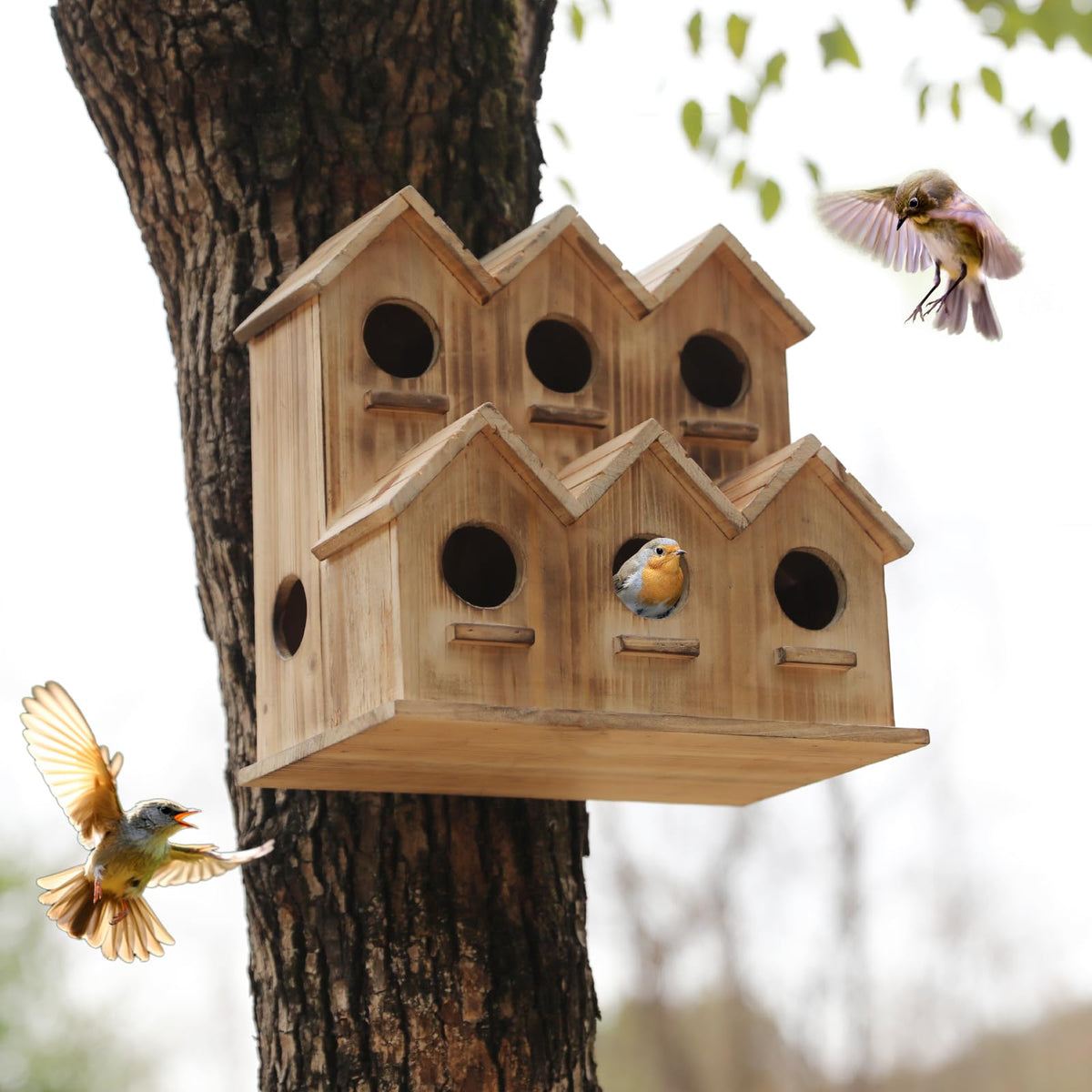XDYGHH bird nesting box for bluebirds and finches in the garden