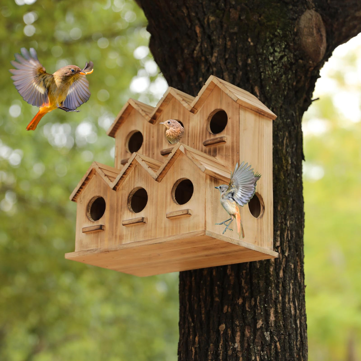 XDYGHH outdoor bird hotel setup in patio for local birds