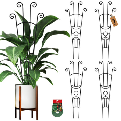 Xeeol 326in trellis overview for indoor plant support and vertical growth.
