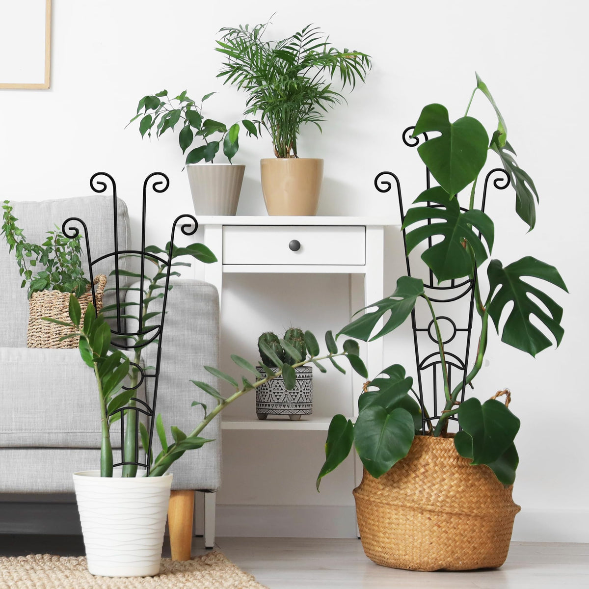 Xeeol expandable two-piece design grows with plants.