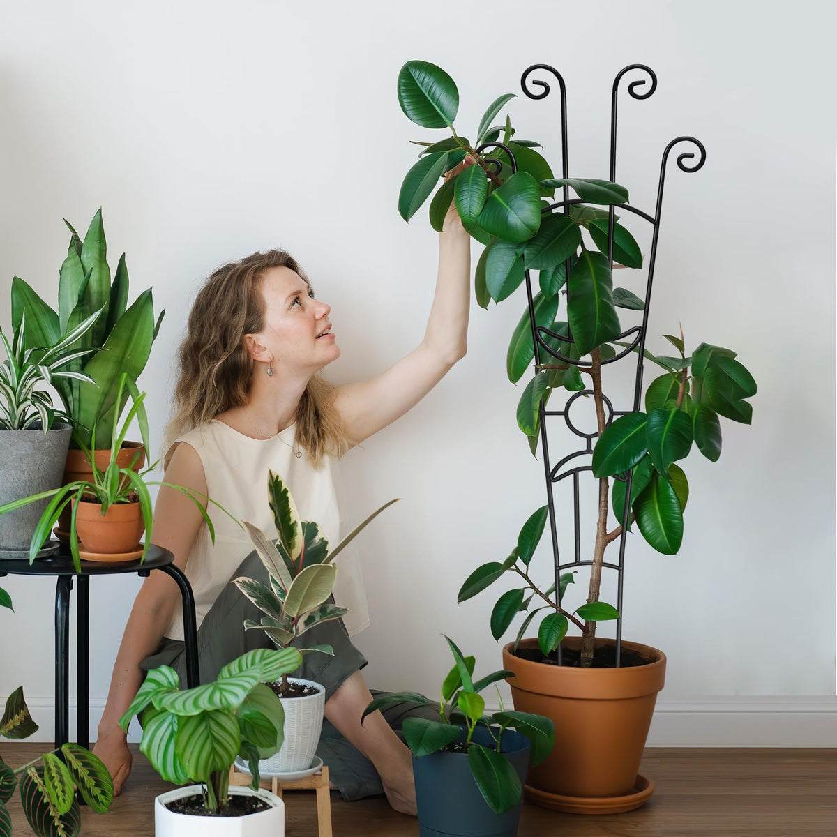 Xeeol four-piece trellis pack supports multiple climbing plants.