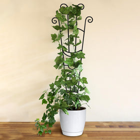 Xeeol high load-bearing trellis promotes vertical growth.