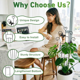 Xeeol indoor plant support ideal for pothos, ivy, and more.