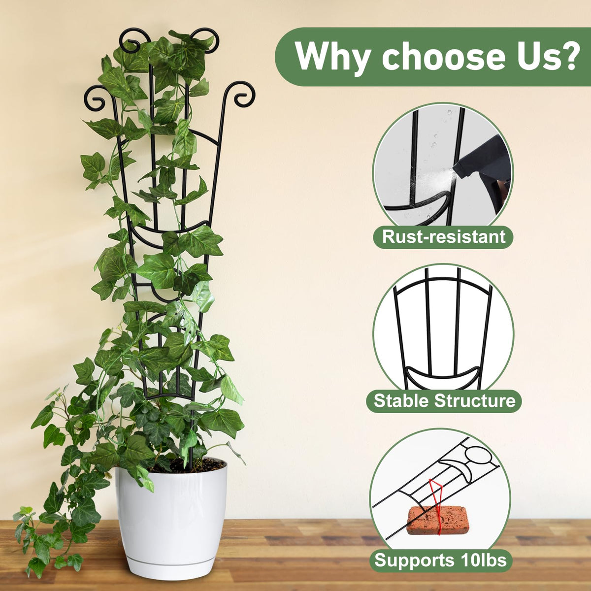 Xeeol rust-resistant metal trellis for durable outdoor and indoor use.