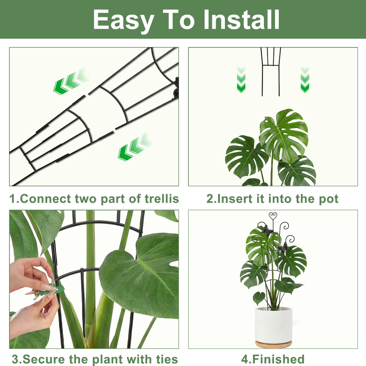 Xeeol tall potted-plant trellis keeps vines upright for better light.