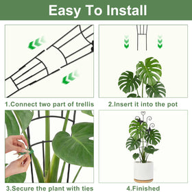 Xeeol tall potted-plant trellis keeps vines upright for better light.