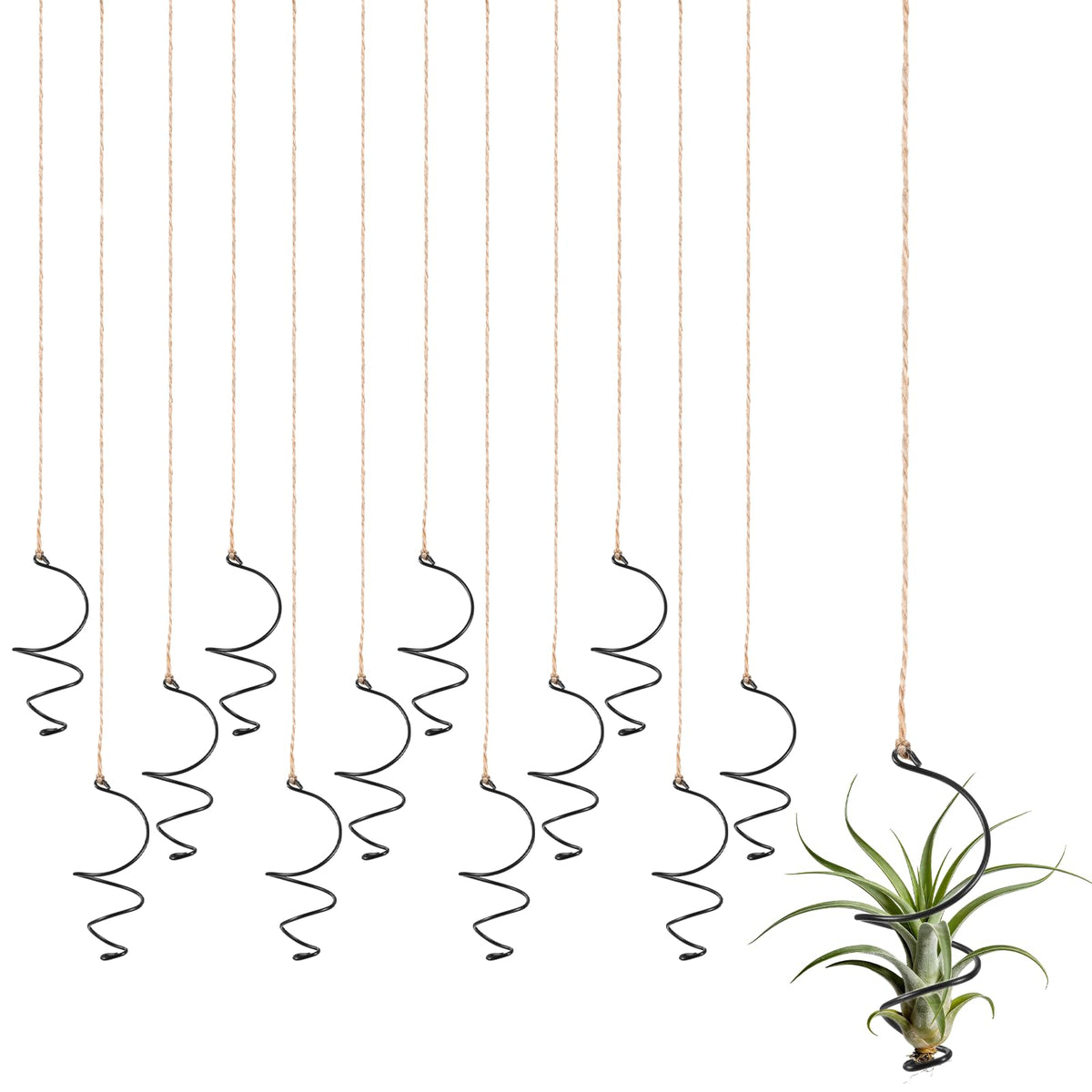 Xelsluthe Air Plants Live Holders assembly for compact vertical garden display.