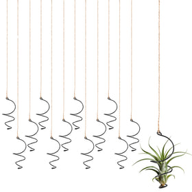 Xelsluthe Air Plants Live Holders assembly for compact vertical garden display.