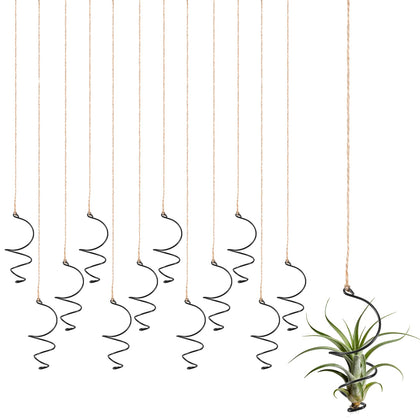 Xelsluthe Air Plants Live Holders assembly for compact vertical garden display.