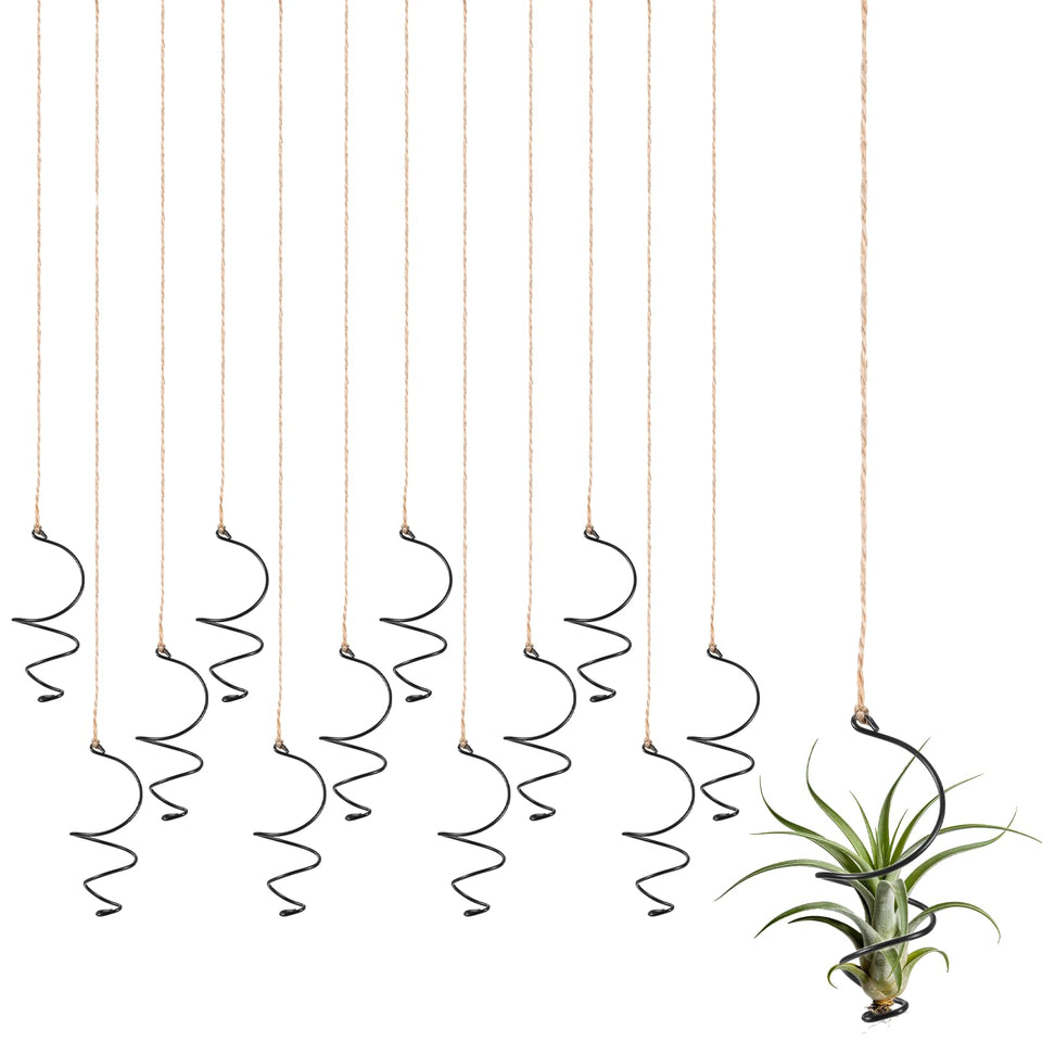 Xelsluthe Air Plants Live Holders assembly for compact vertical garden display.