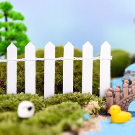 XFGSYXS Fence beside succulents suggests charming micro landscape accents.