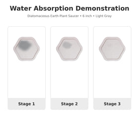 Xiaan Jiaju plant drip tray on a desk protecting surfaces